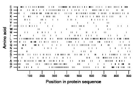 amino acid map