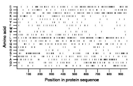 amino acid map