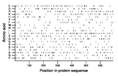 amino acid map