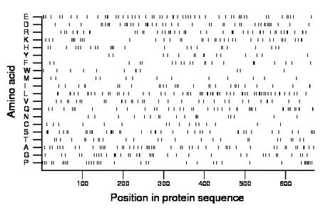 amino acid map