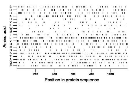 amino acid map