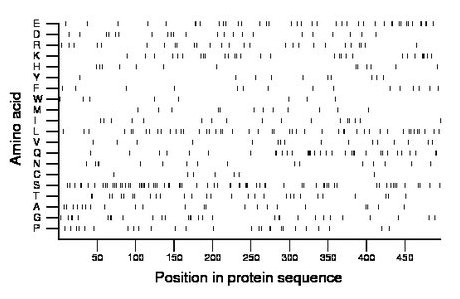 amino acid map