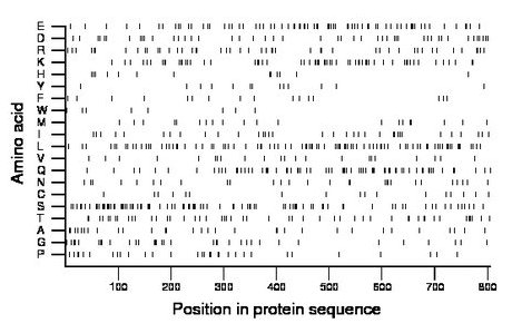 amino acid map