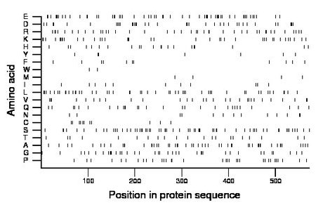 amino acid map