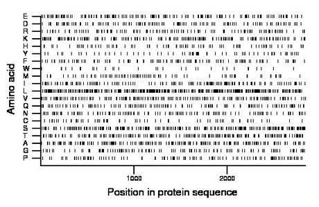 amino acid map