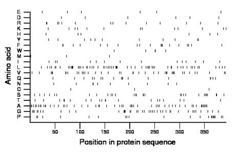 amino acid map