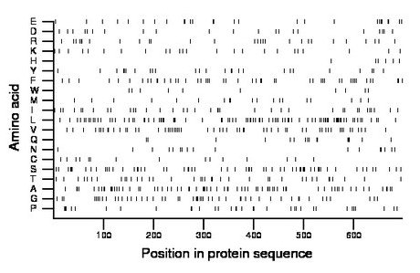 amino acid map