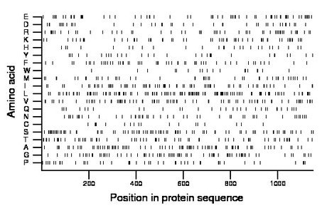 amino acid map