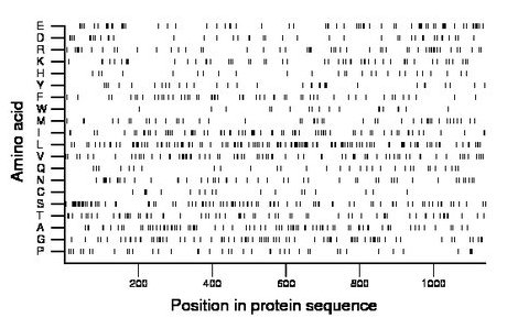 amino acid map