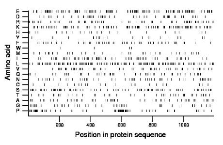 amino acid map