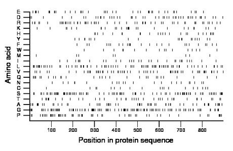 amino acid map