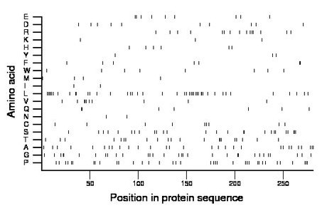 amino acid map