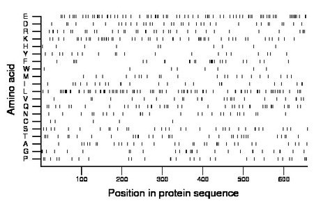 amino acid map