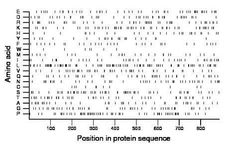 amino acid map