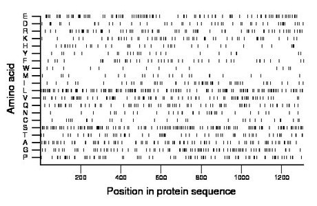 amino acid map