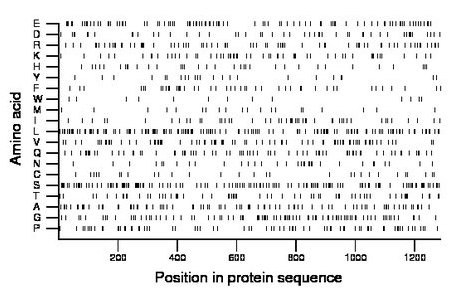 amino acid map