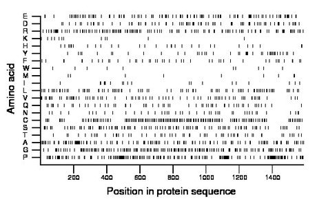 amino acid map