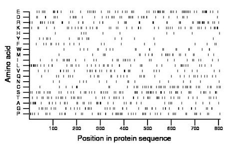 amino acid map