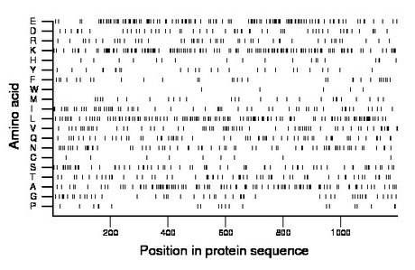 amino acid map