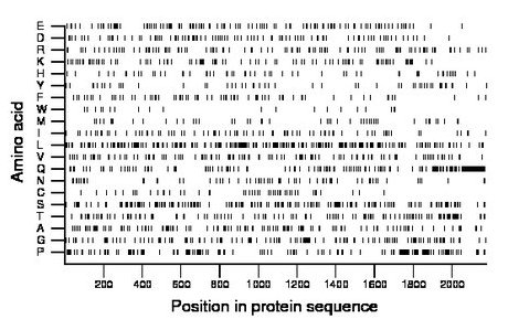 amino acid map