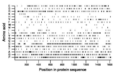 amino acid map