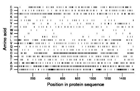 amino acid map