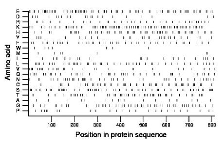 amino acid map