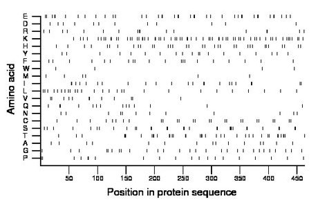 amino acid map