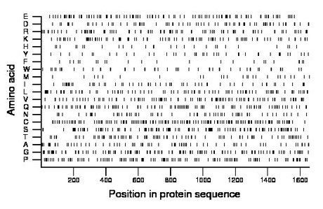 amino acid map