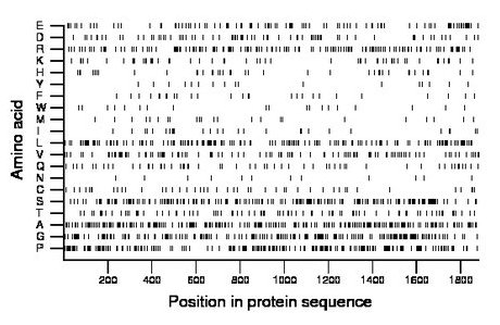 amino acid map