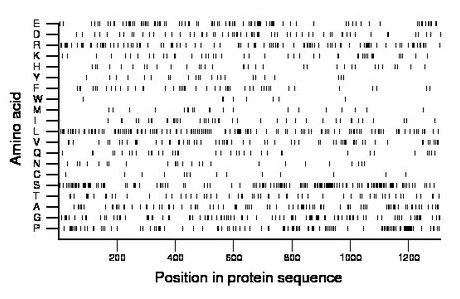 amino acid map