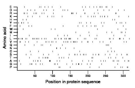 amino acid map