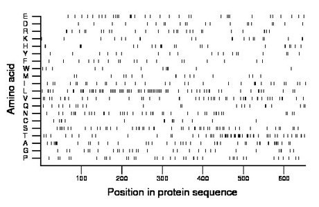 amino acid map