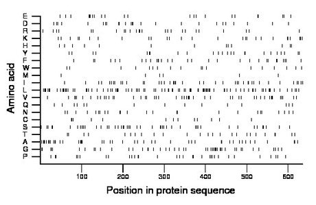 amino acid map