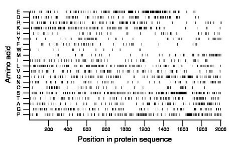 amino acid map