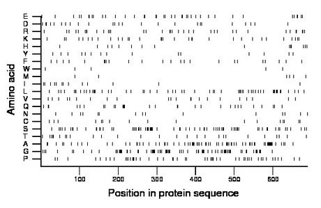 amino acid map