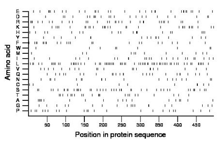 amino acid map