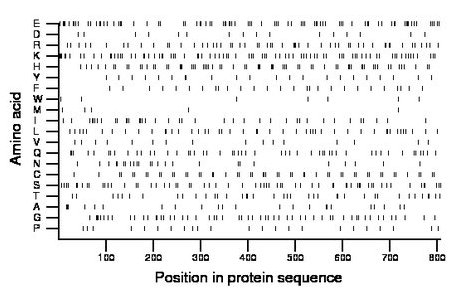 amino acid map