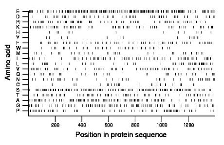 amino acid map