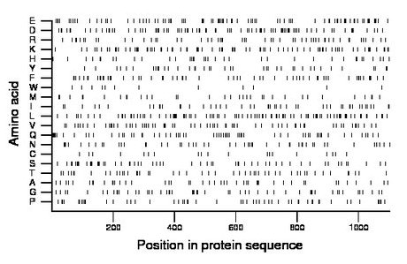 amino acid map