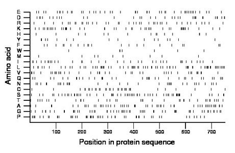 amino acid map