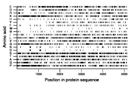 amino acid map