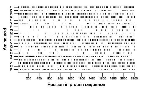 amino acid map