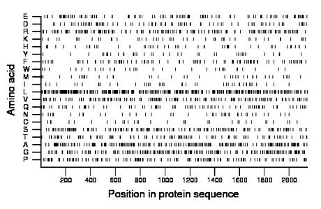 amino acid map