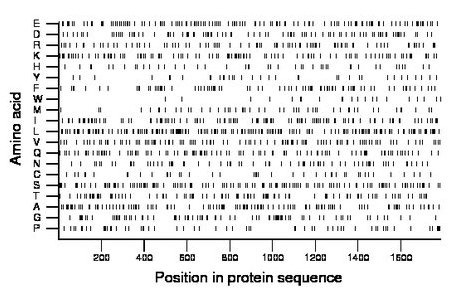 amino acid map