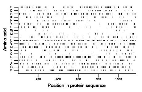 amino acid map