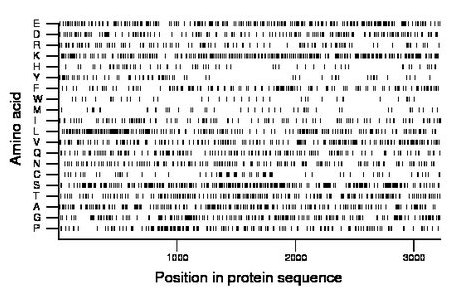 amino acid map