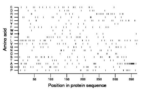 amino acid map