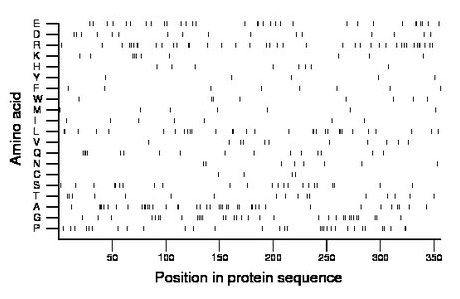 amino acid map