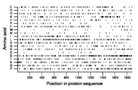 amino acid map